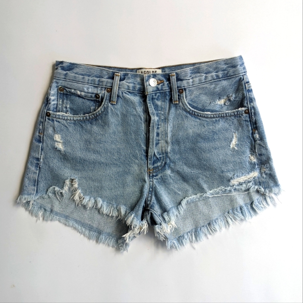 Agolde Parker Vintage Loose Fit Cutoff Shorts in Swapmeet